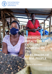 Assessing the impacts of the COVID-19 pandemic on the livelihoods of rural people